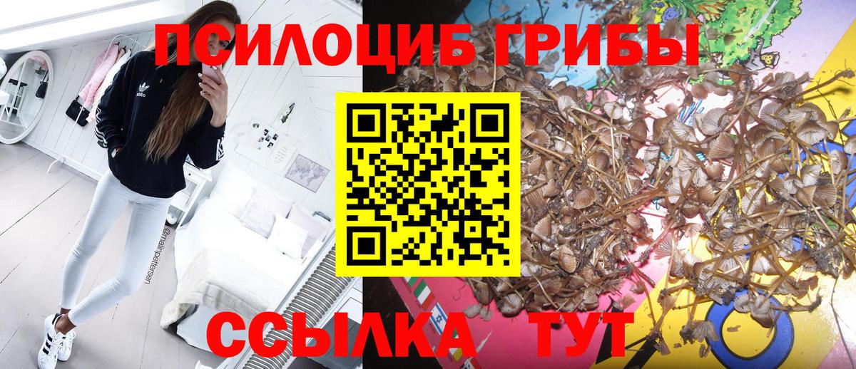 Кинель  Псилоцибиновые грибы прущие грибы  закладка  Вход с VPN  Галлюциногенные грибы MAGIC MUSHROOMS 