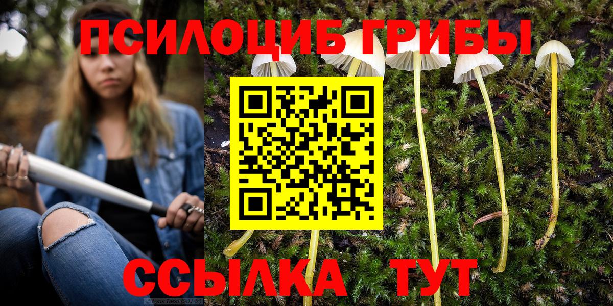 Псилоцибиновые грибы GOLDEN TEACHER Кинель